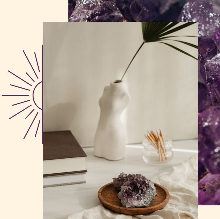 violette-pdv2